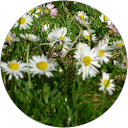 Vasiliki Georgopoulou profile picture